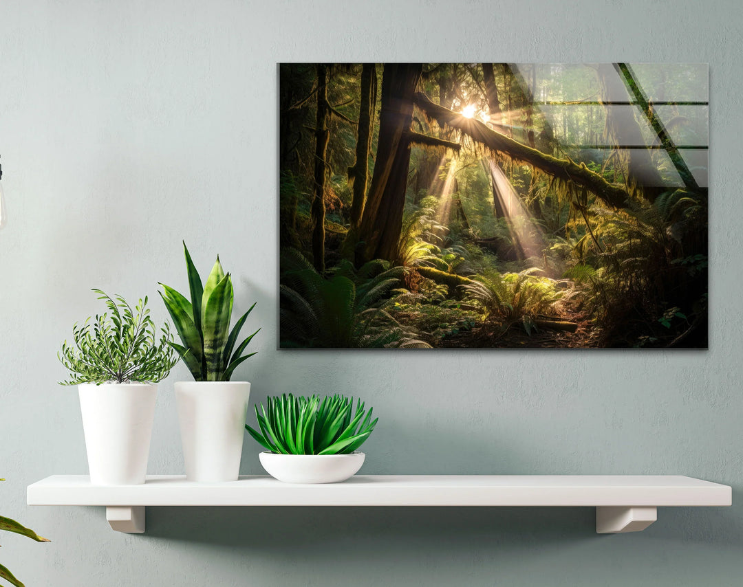 Enchanted Forest Wall Art – Sunlight Through Trees Glass Print for Nature-Inspired Decor - MyPhotoStation