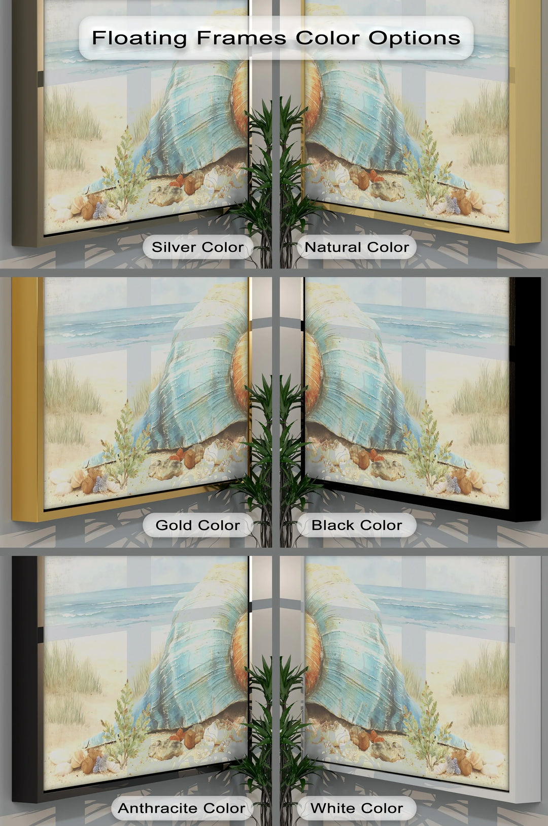 Coastal Tranquility – Sea Shell on the Shoreline Canvas Print - MyPhotoStation