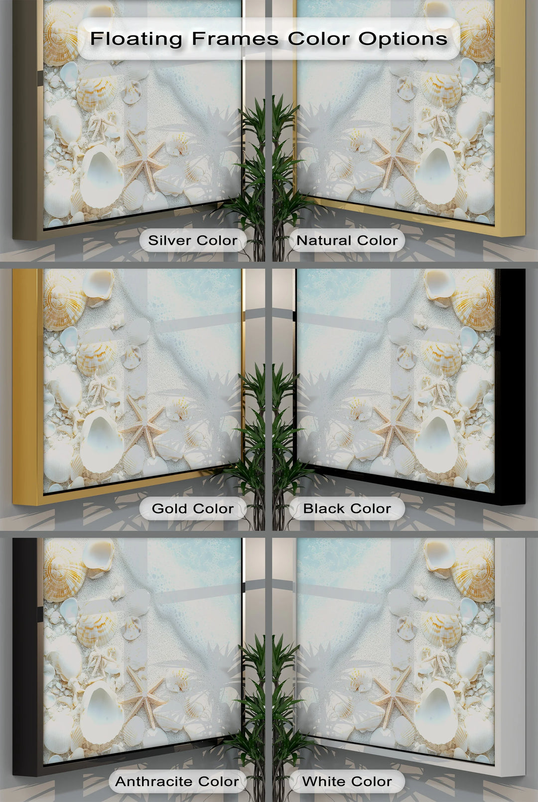 Coastal Calm – Seashells and Shoreline Foam Canvas Print - MyPhotoStation
