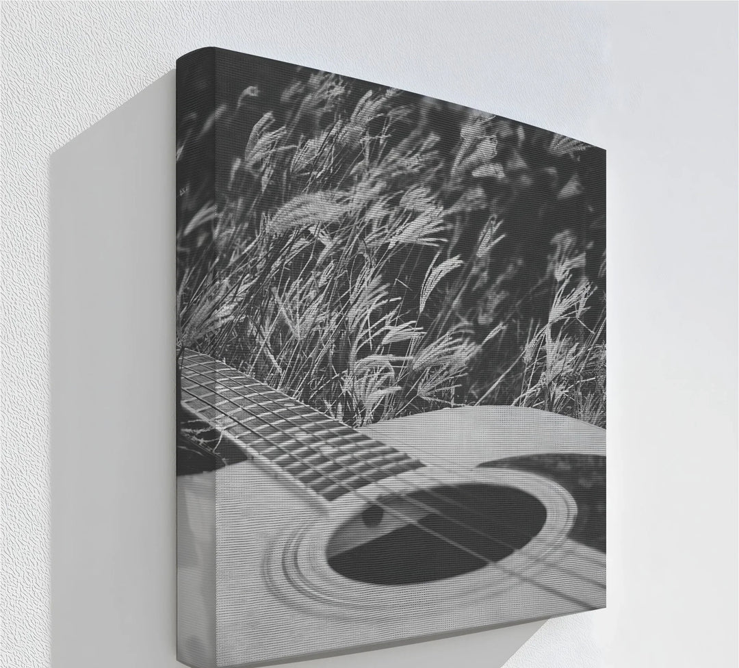 Acoustic Guitar in Field – Black and White Nature Music Canvas Prints - MyPhotoStation