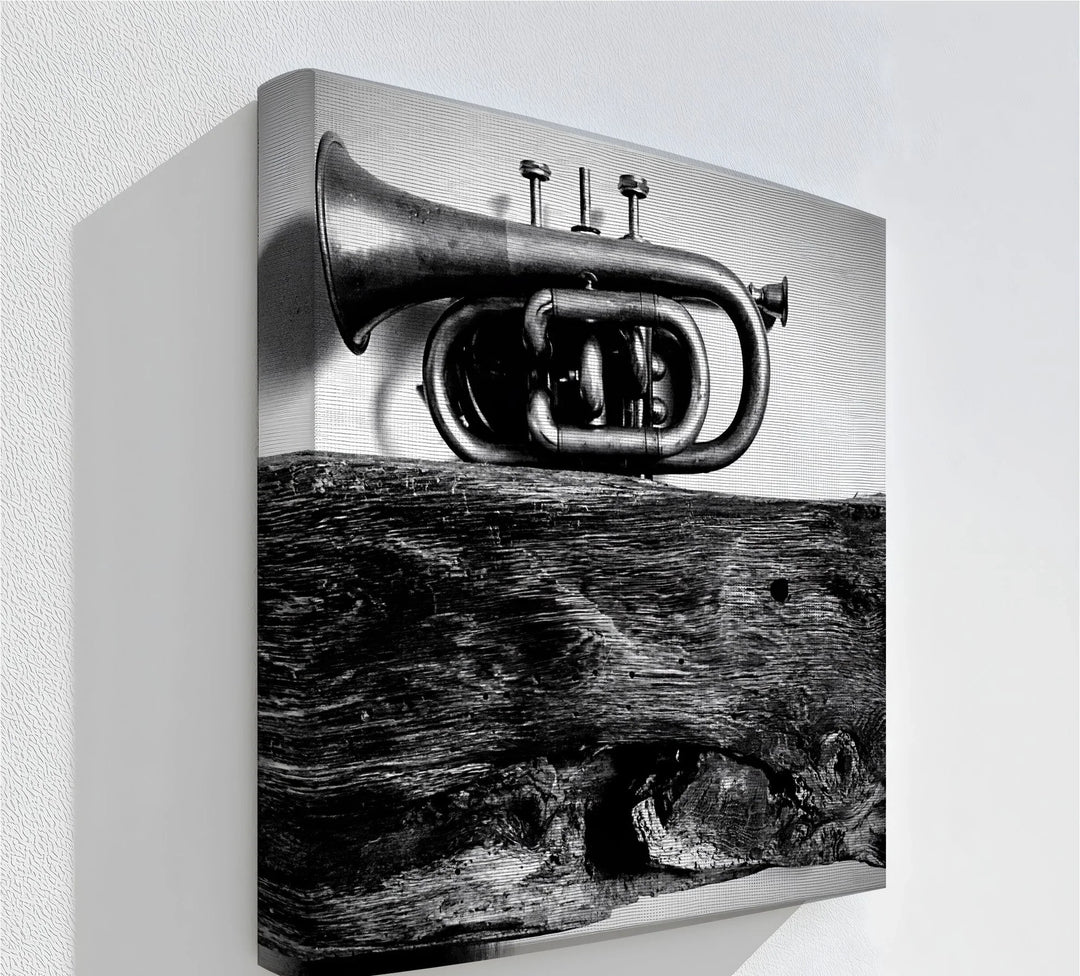 Rustic Trumpet Still Life – Black and White Vintage Music Canvas Prints - MyPhotoStation
