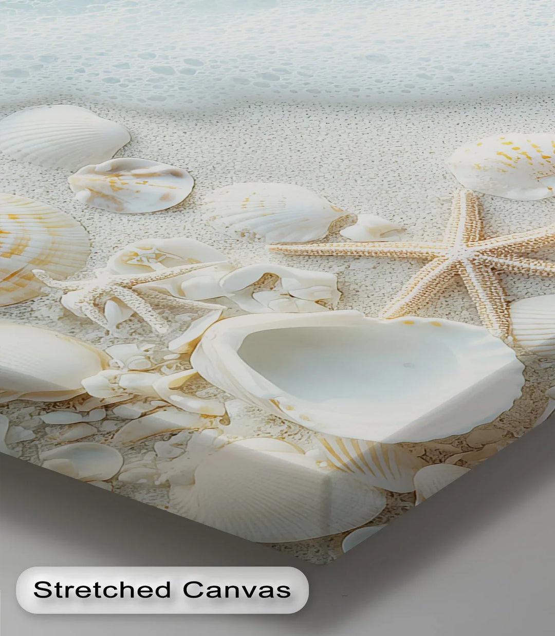 Coastal Calm – Seashells and Shoreline Foam Canvas Print - MyPhotoStation