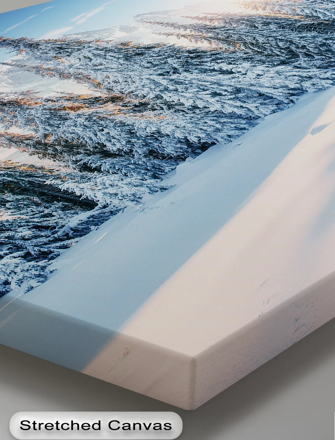 Silent Pines in Winter Sun – Snowy Forest Landscape Canvas Print