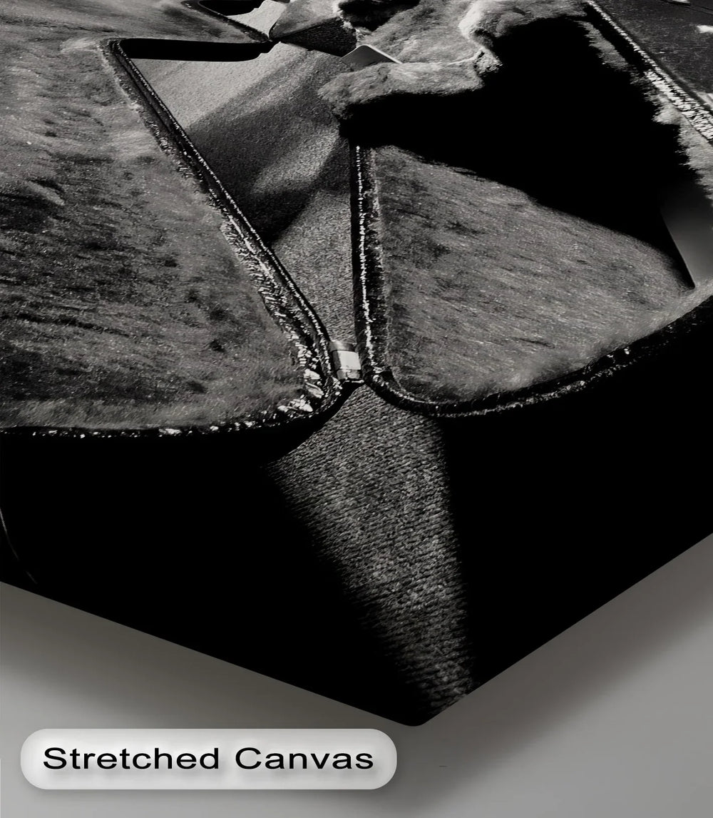 Backstage Spotlight – Open Guitar Case on Stage Music Canvas Prints - MyPhotoStation