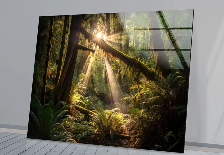 Enchanted Forest Wall Art – Sunlight Through Trees Glass Print for Nature-Inspired Decor - MyPhotoStation