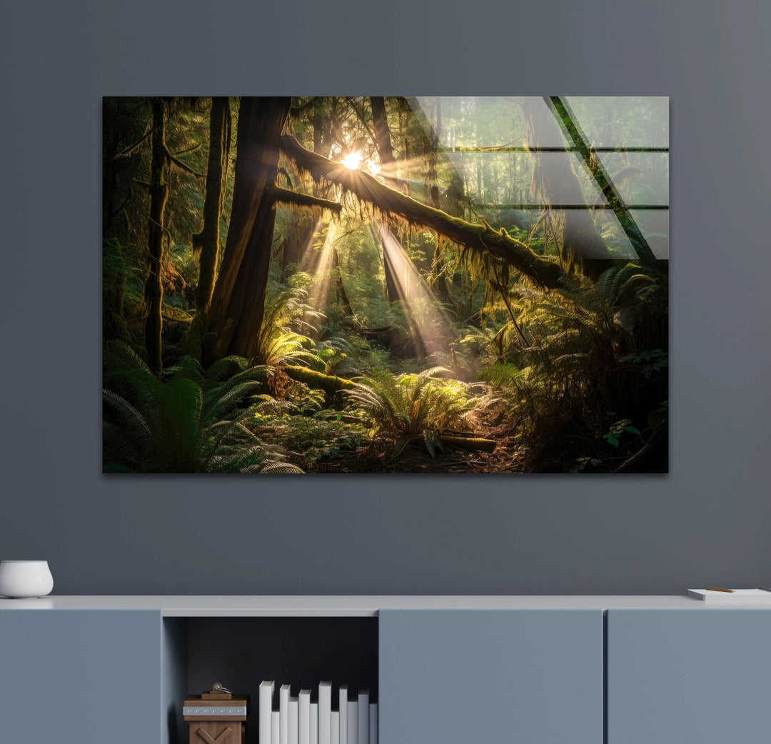 Enchanted Forest Wall Art – Sunlight Through Trees Glass Print for Nature-Inspired Decor - MyPhotoStation