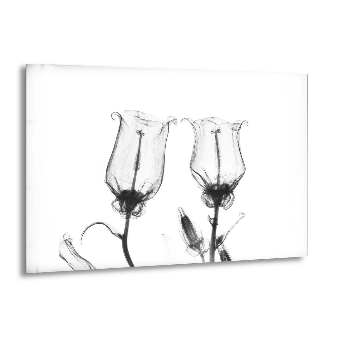 Albert Koetsier Canterbury Bells Glass Wall Art, print picture on glass, Tempered Glass Wall Art