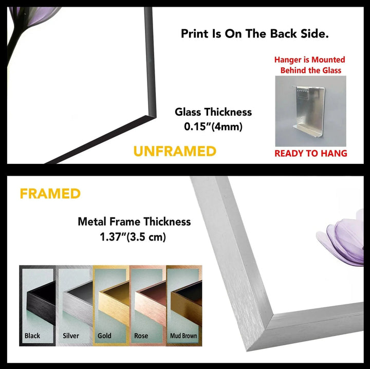 Albert Koetsier Xray Five Tulips In Purple Glass Wall Art, custom glass photo prints, large glass prints