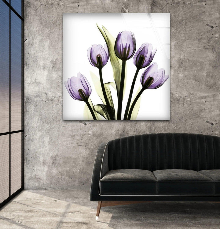 Albert Koetsier Xray Five Tulips In Purple Glass Wall Art, custom glass pictures, glass art prints