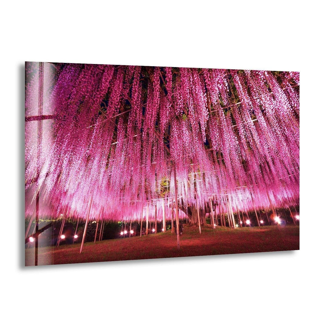 Ashikaga Flower Park Glass Wall Art
, print on glass, glass printed photos