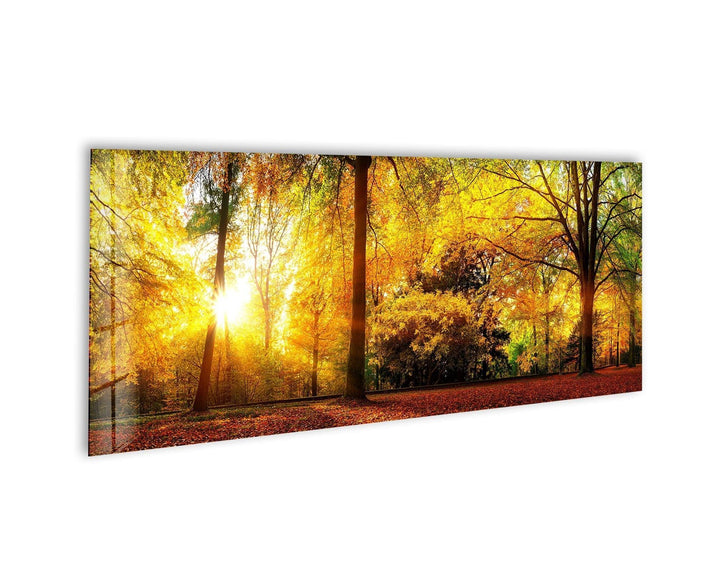 Autumn Nature Landscape Glass Wall Art, custom glass pictures, glass art prints