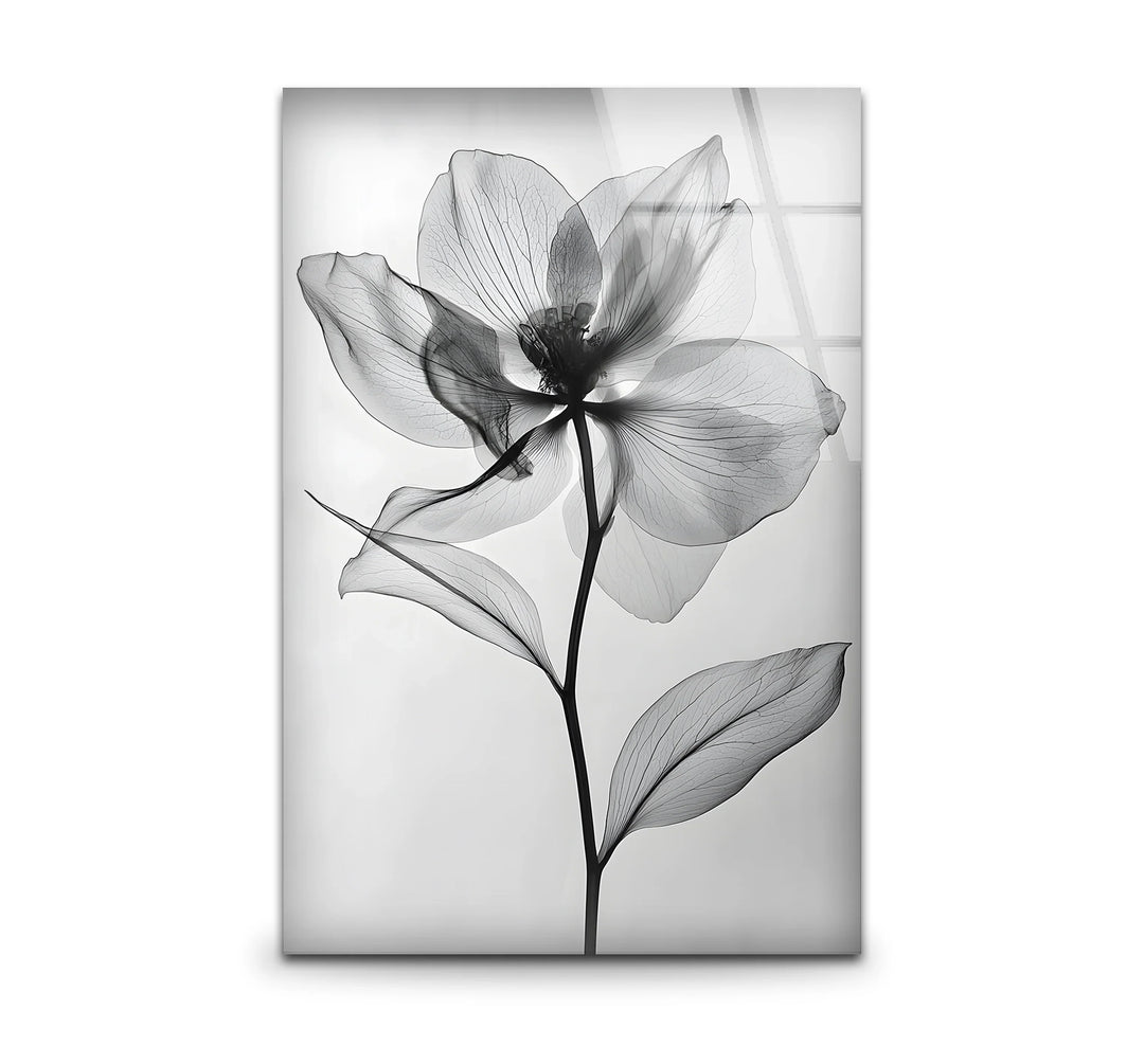 Black and white art featuring an elegant photograph of a flower with intricate details