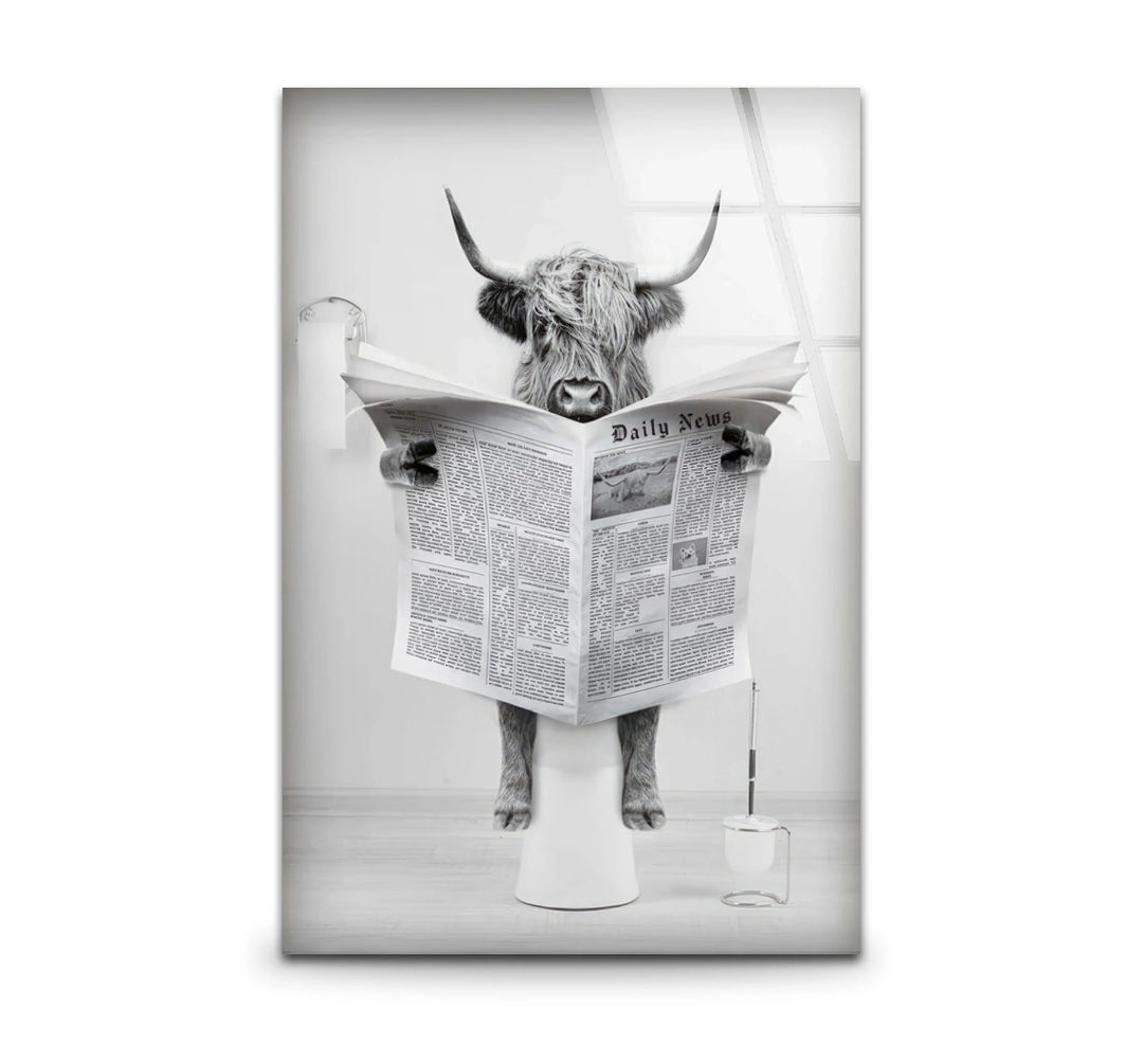 Funny Highland Cow Reading Newspaper Wall Art – Black and White Glass Print for Bathroom Humor Decor - MyPhotoStation