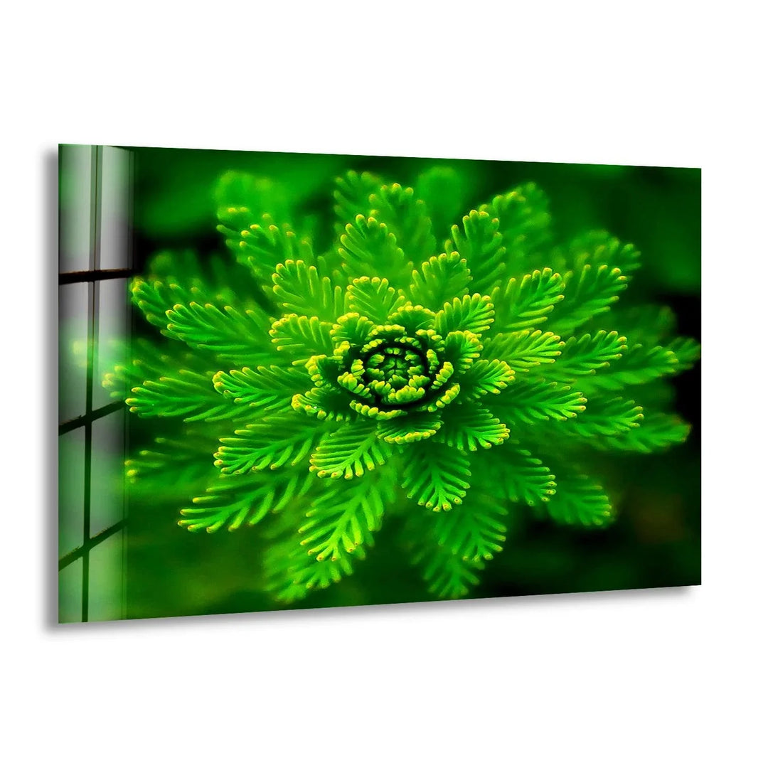 Green Botanical Glass Wall Art, print picture on glass, Tempered Glass Wall Art