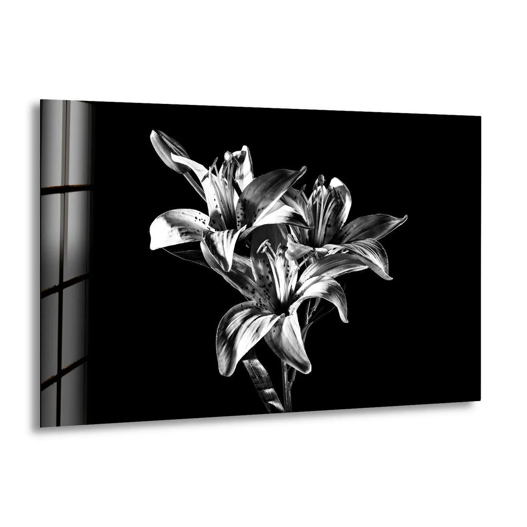 Black Xray Lily Flower Glass Wall Art, print on glass, glass printed photos