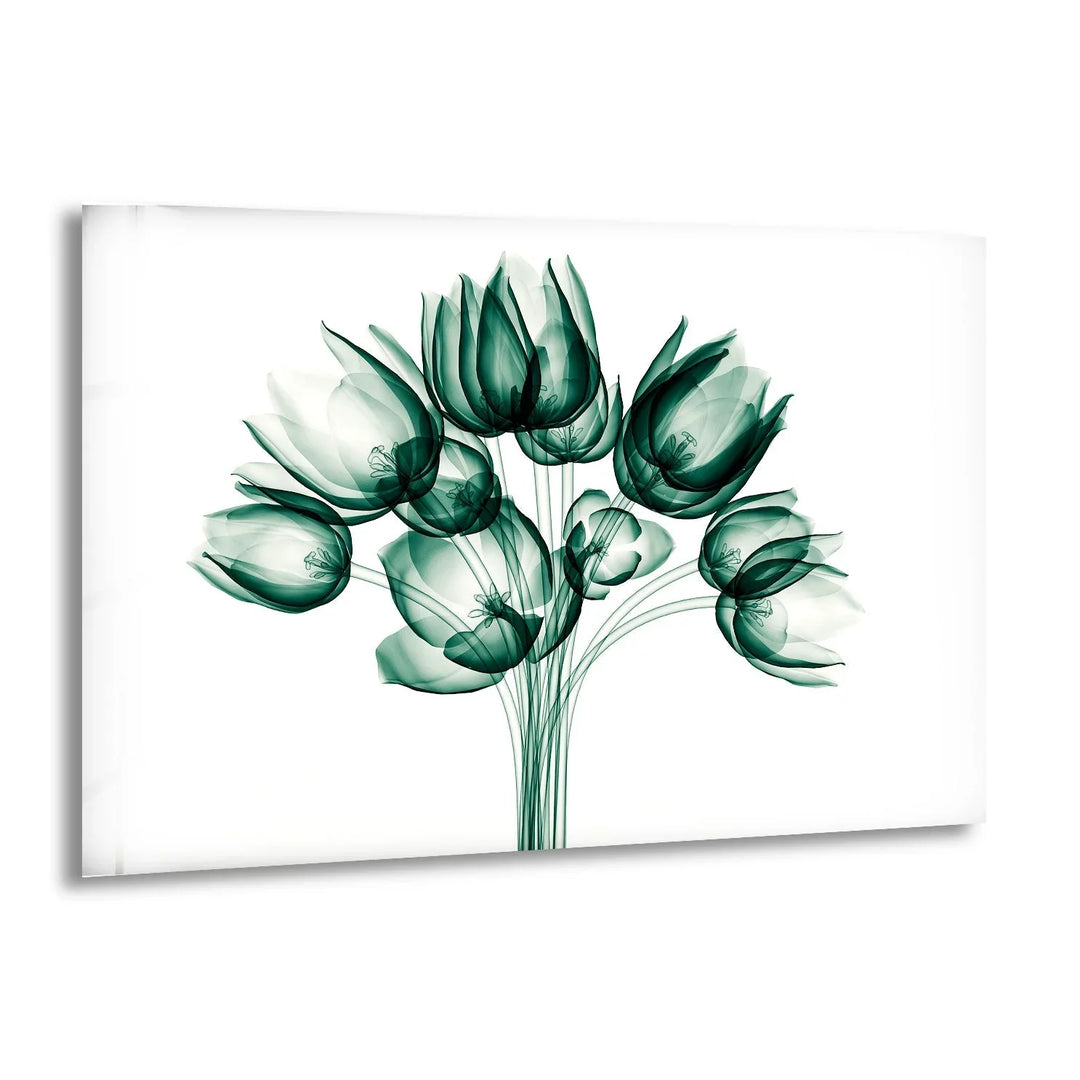 X-ray Image Of A Flower Glass Wall Art, print picture on glass, Tempered Glass Wall Art