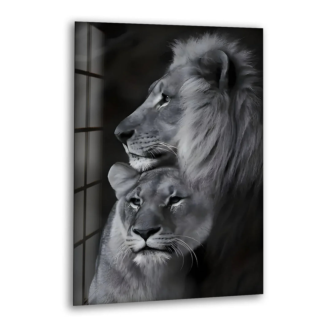 Black & White Lion Family Glass Wall Art print picture on glass, Tempered Glass Wall Art