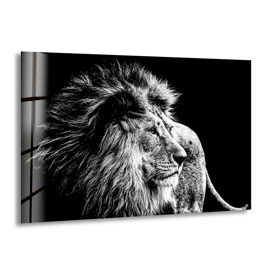 Black and White Lion Wall Art – Majestic Wildlife Glass Print Design - MyPhotoStation