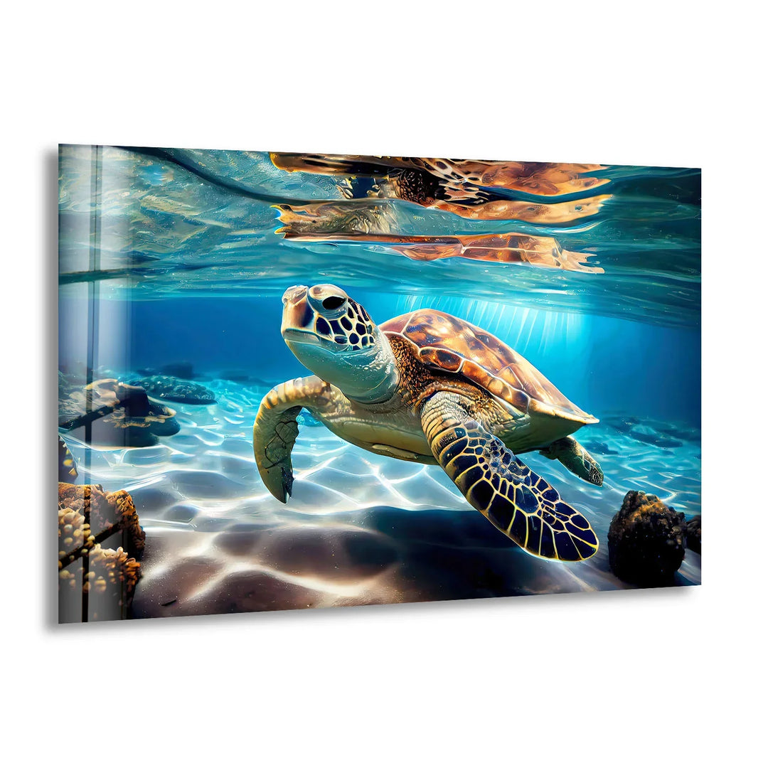 Ocean Turtle Wall Art – Underwater Sea Life Glass Print Decor - MyPhotoStation