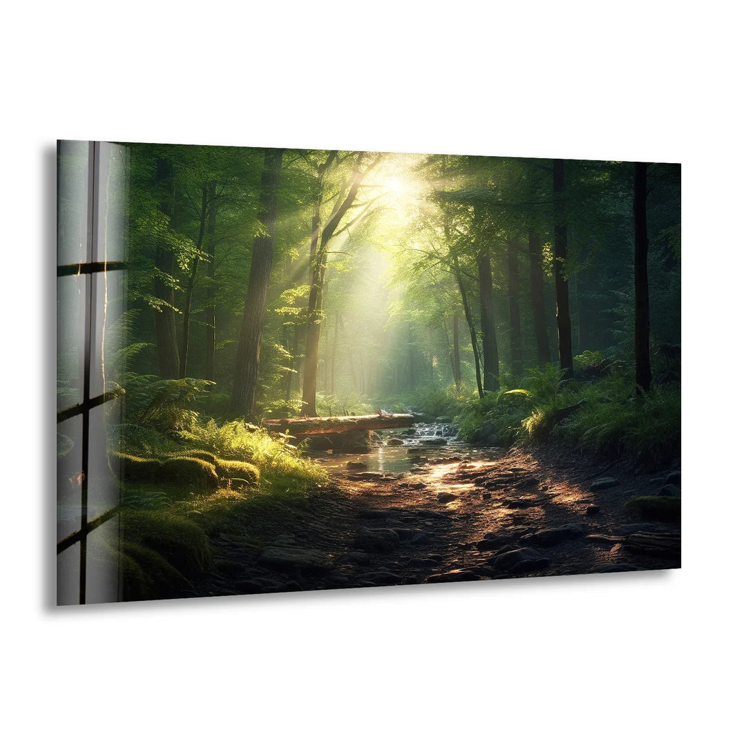 Sunlit Forest Stream Wall Art – Peaceful Nature Path Glass Print for Calming Decor - MyPhotoStation