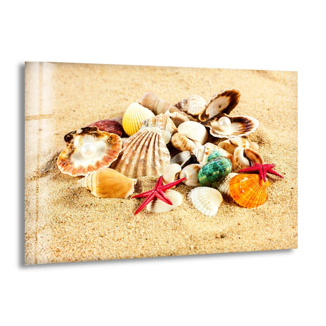 A stunning close-up of seashells and starfish resting on a golden sandy beach.