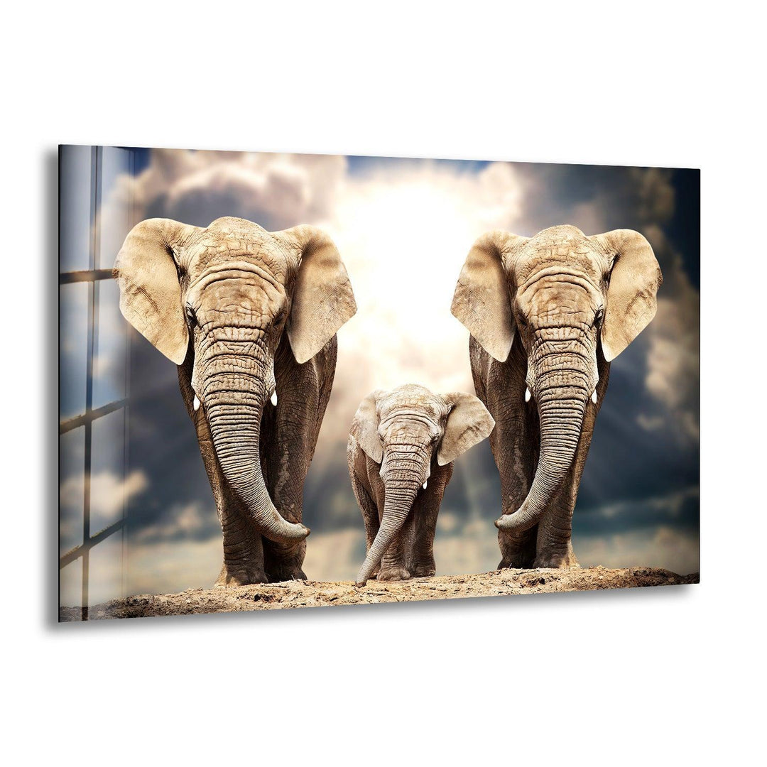 Safari Elephant Family Glass Wall Art large glass photo prints, glass wall photos
