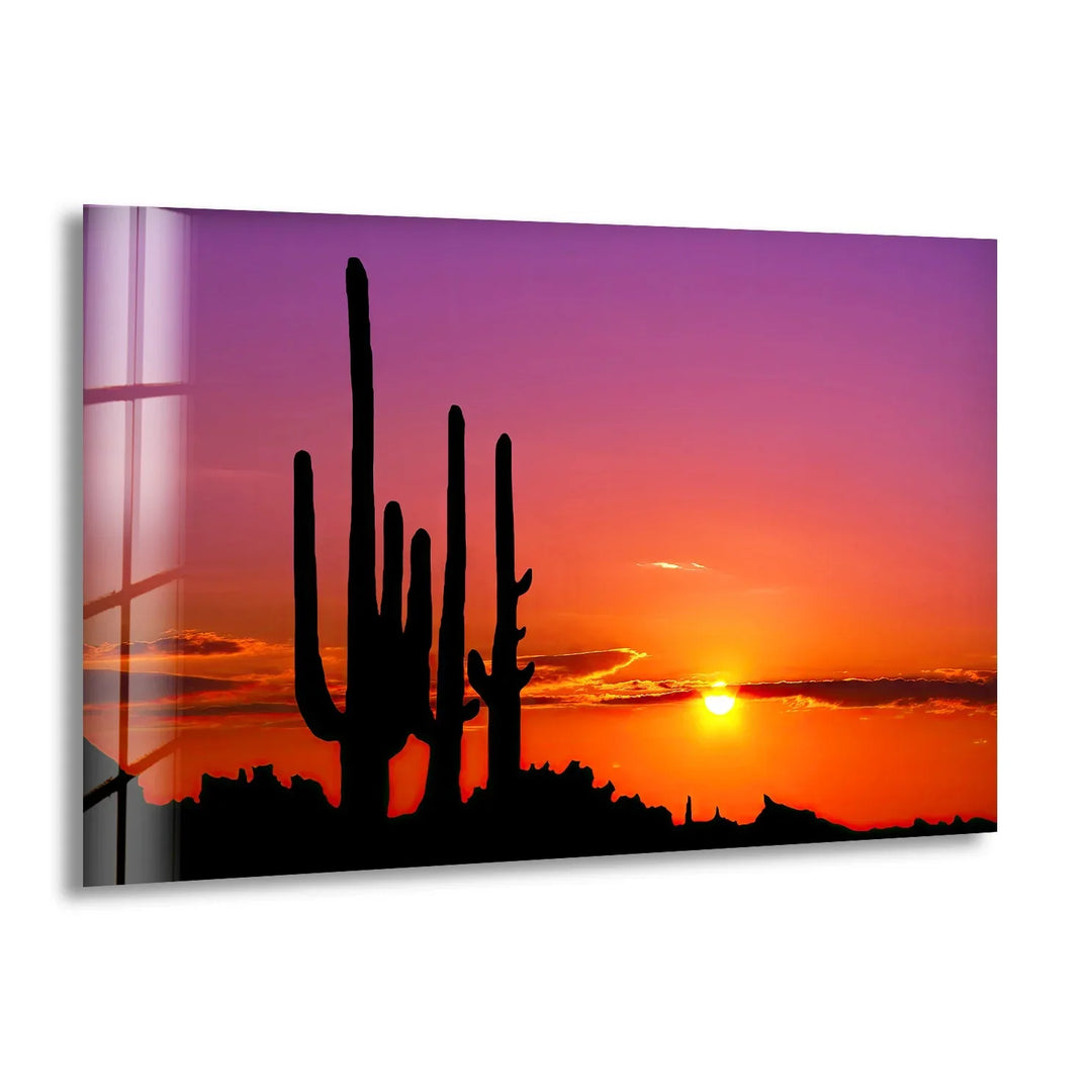 Sonoran Desert Phoenix Arizona Glass Wall Art - MyPhotoStation
