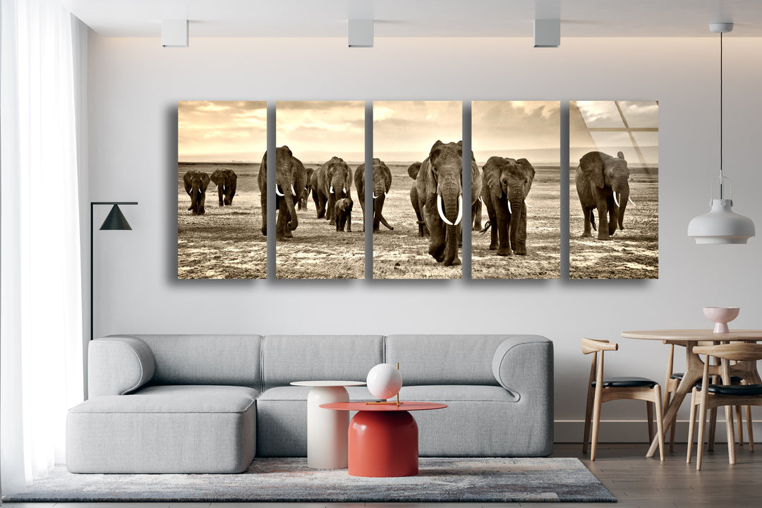 Black&White African Elephants Glass Wall Art