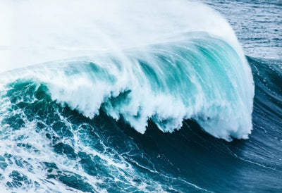 Ocean Wall Art