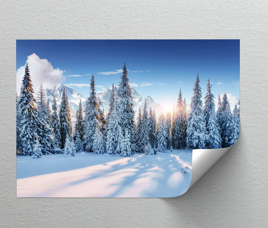 Silent Pines in Winter Sun – Snowy Forest Landscape Canvas Print