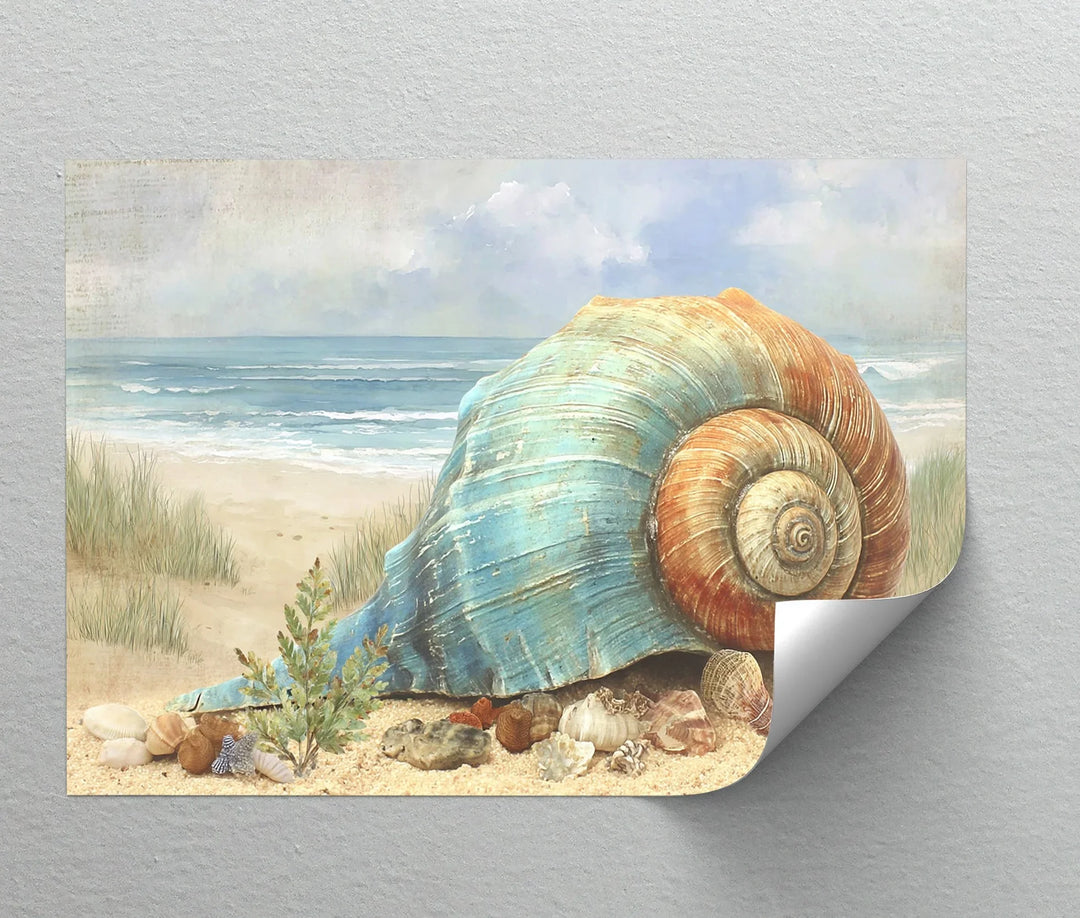 Coastal Tranquility – Sea Shell on the Shoreline Canvas Print - MyPhotoStation