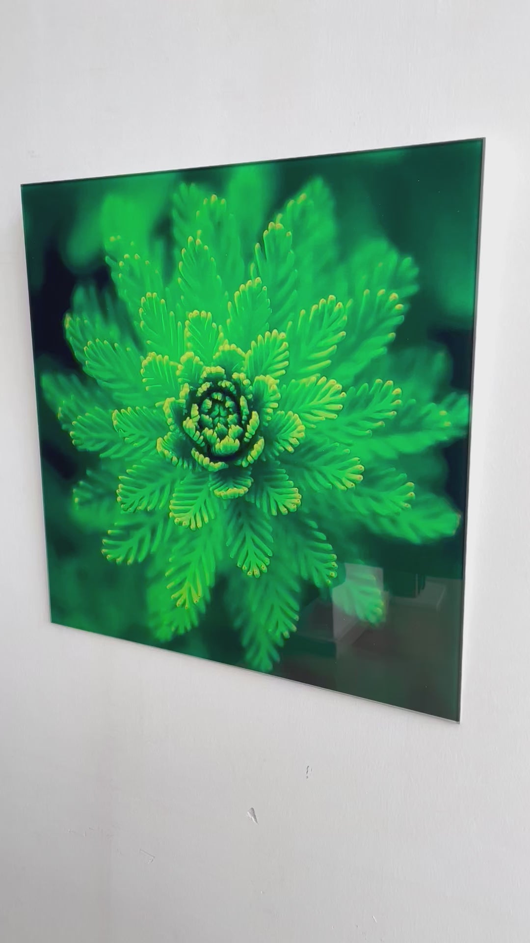 Green Botanical Glass Wall Art, glass art painting, glass art for the Wall