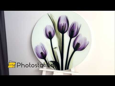 Albert Koetsier Xray Five Tulips In Purple Glass Wall Art