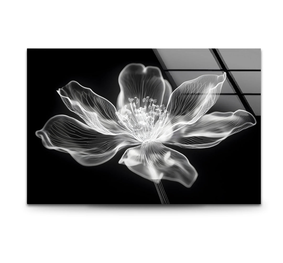 Black and white art featuring a minimalist flower design with elegant lines