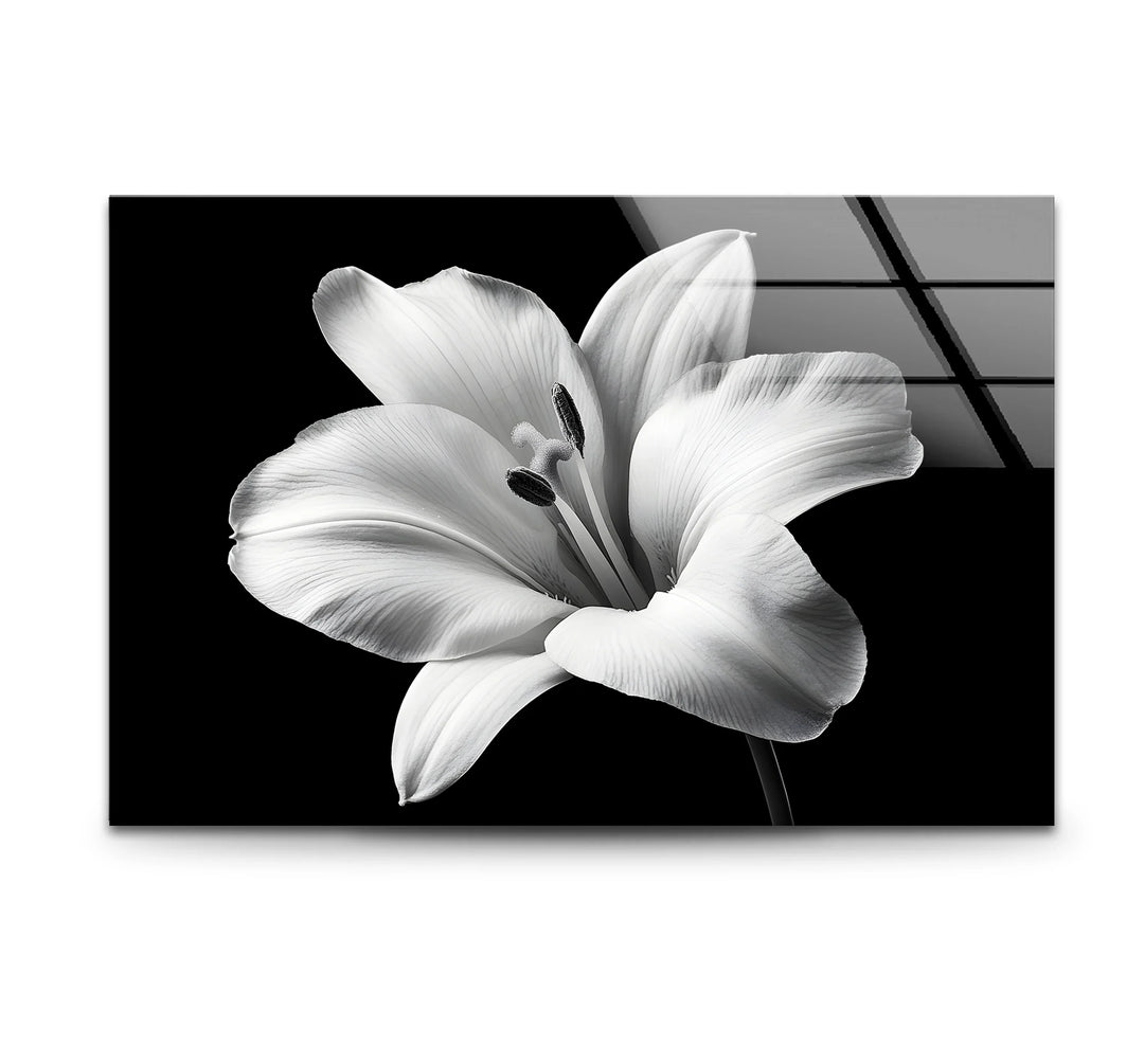 Black and white art featuring an elegant lily flower in intricate detail