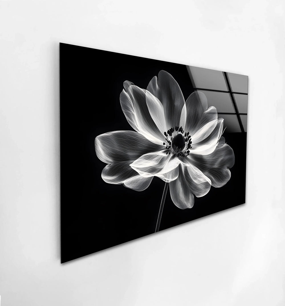 Stunning monochrome flower art on glass, bringing sophistication to any space.