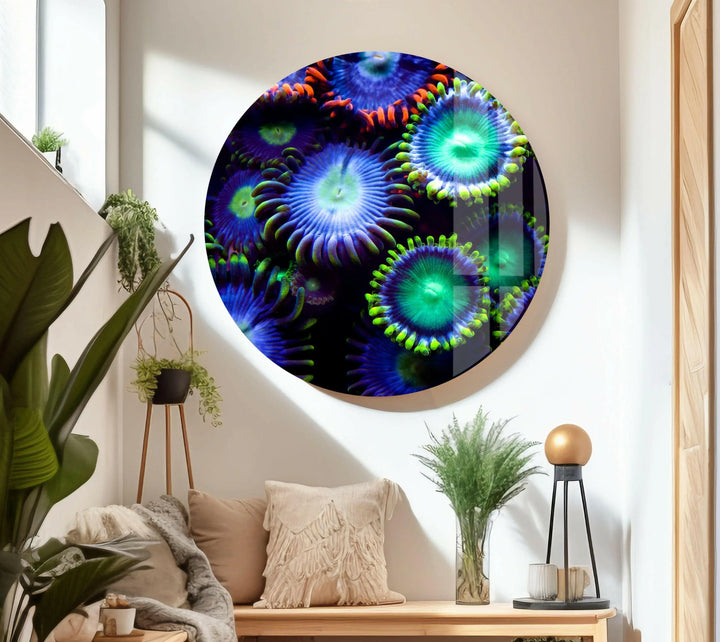 A captivating macro shot of glowing sea anemones and coral life.