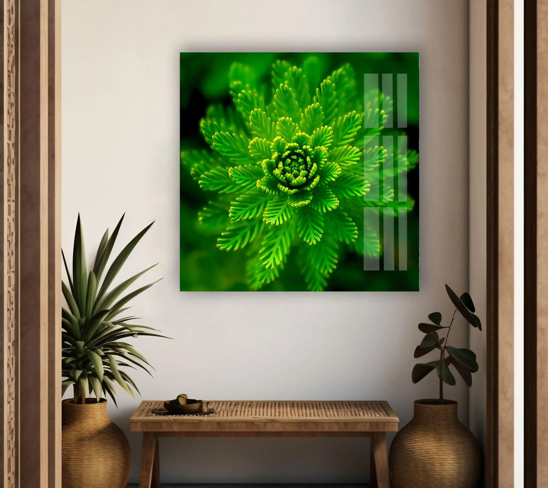 Green Botanical Glass Wall Art, photo print on glass, prints on glass wall art
