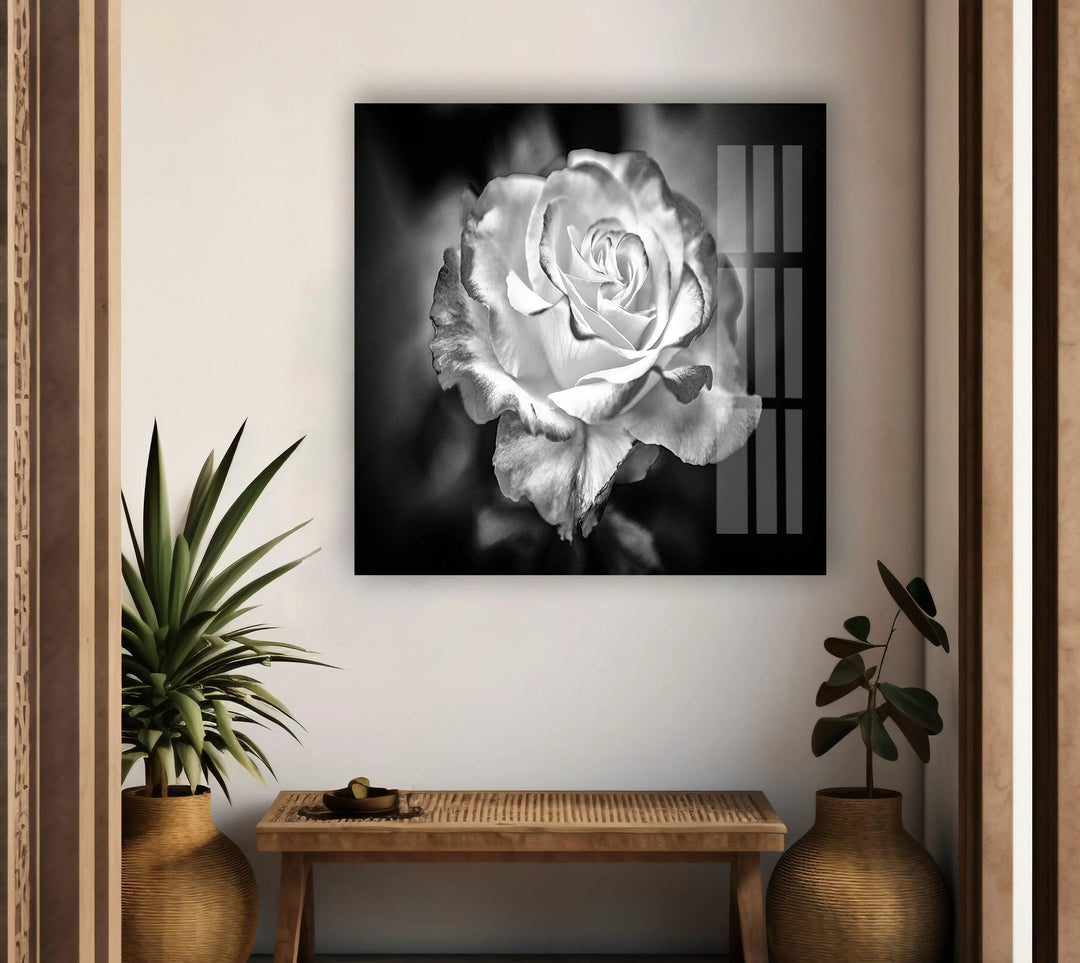 Black - White Rose Glass Wall Art, glass art painting, glass art for the Wall