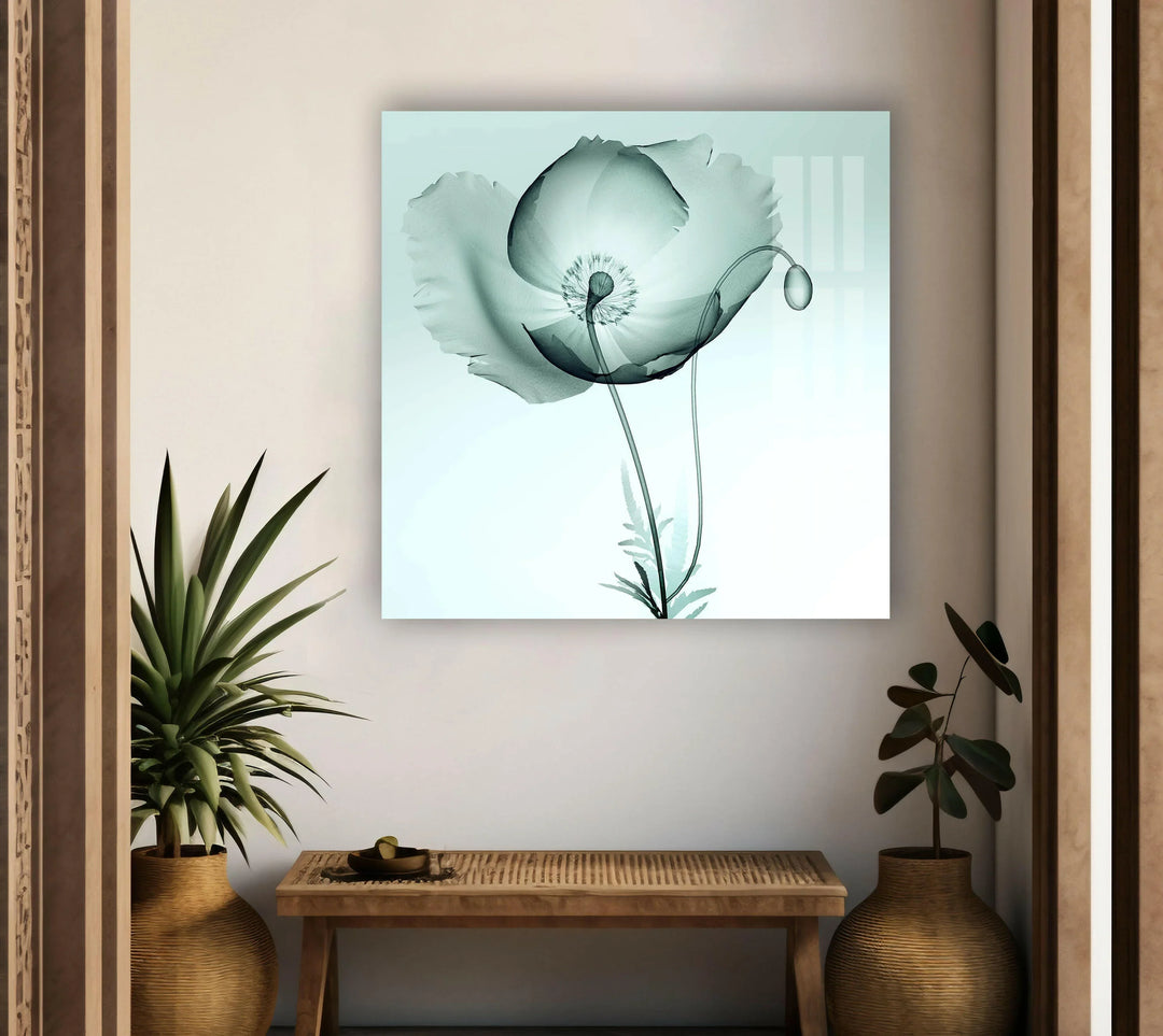 X-ray Image Of A Poppy Glass Wall Art, glass pictures for Wall, glass prints wall art