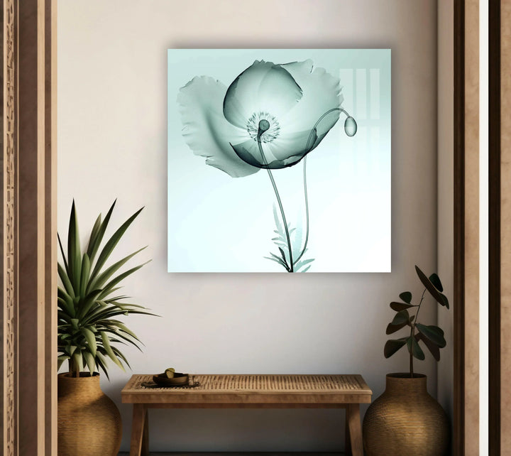 X-ray Image Of A Poppy Glass Wall Art, glass pictures for Wall, glass prints wall art