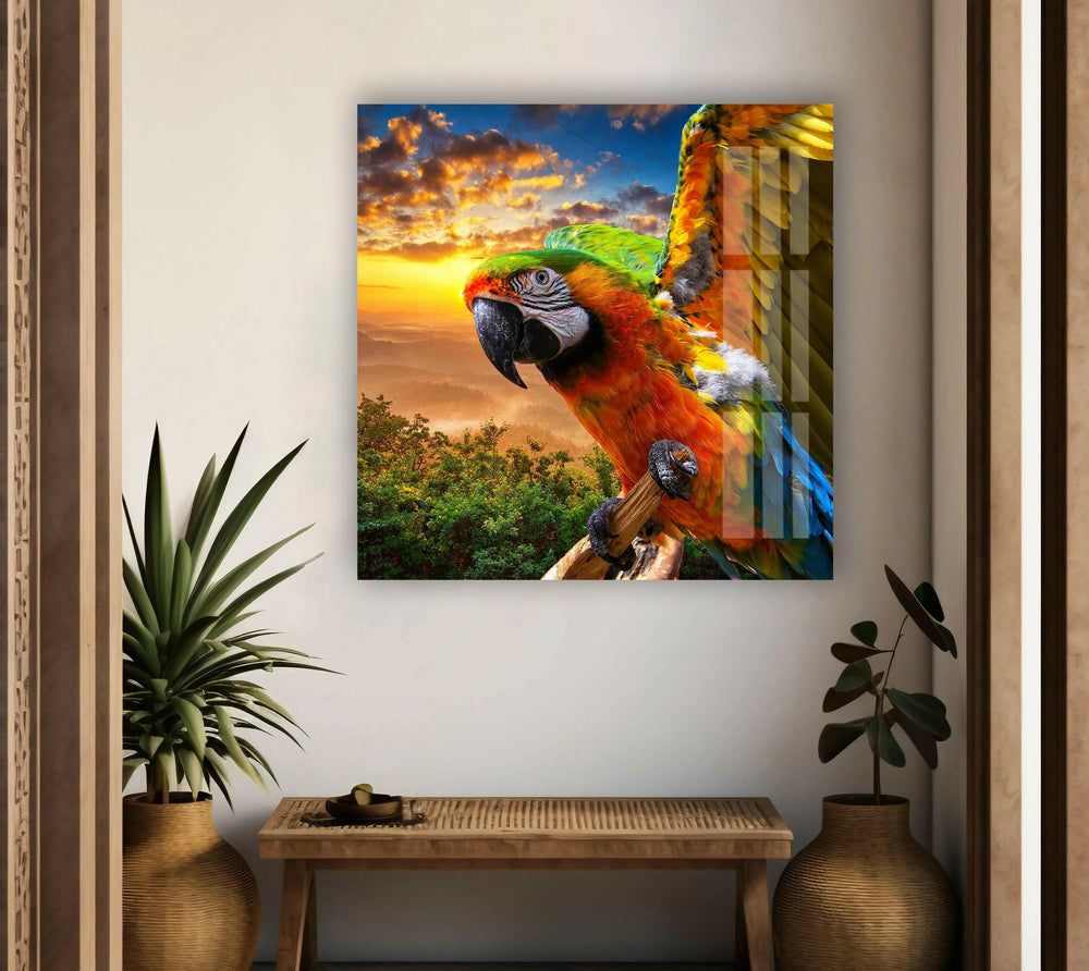 Tropical Parrot Glass Wall Art print picture on glass, Tempered Glass Wall Art
