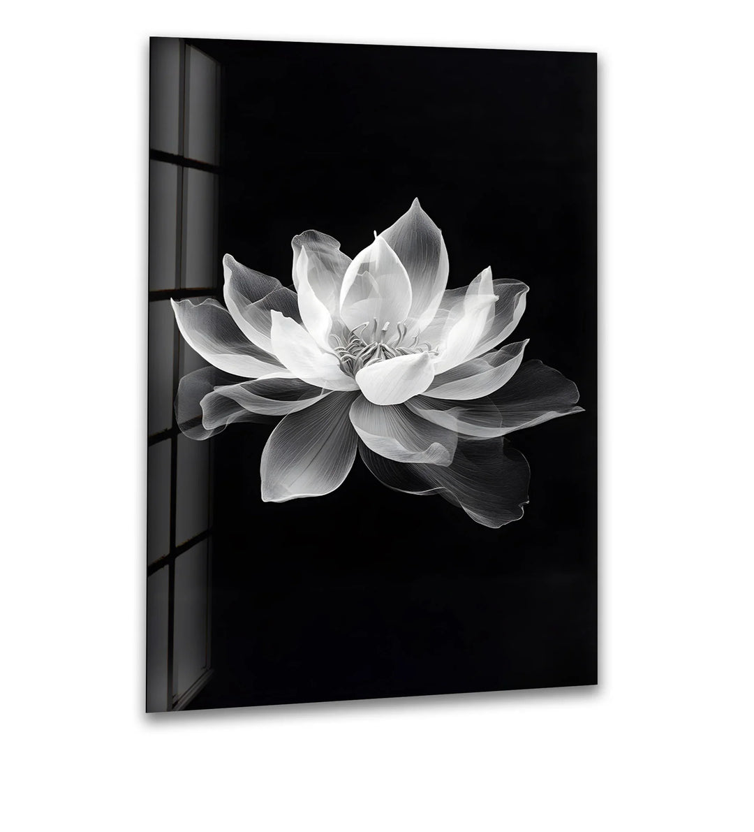Elegant black-and-white lotus flower design on glass, adding serenity to your space.