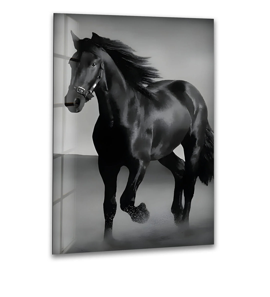Majestic Black Stallion – Black & White Horse Photography Wall Art - MyPhotoStation