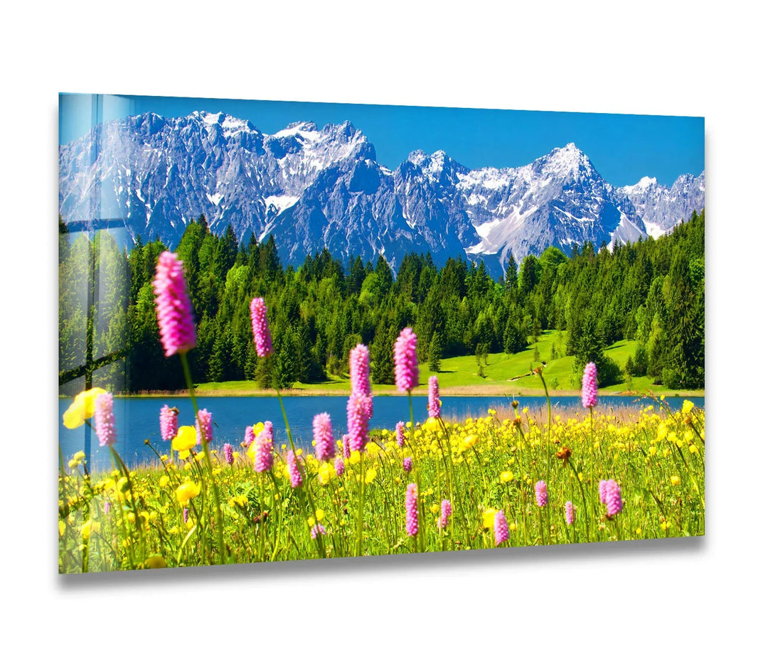 Alpine Meadow Glass Wall Art – Mountain Landscape & Wildflowers - MyPhotoStation