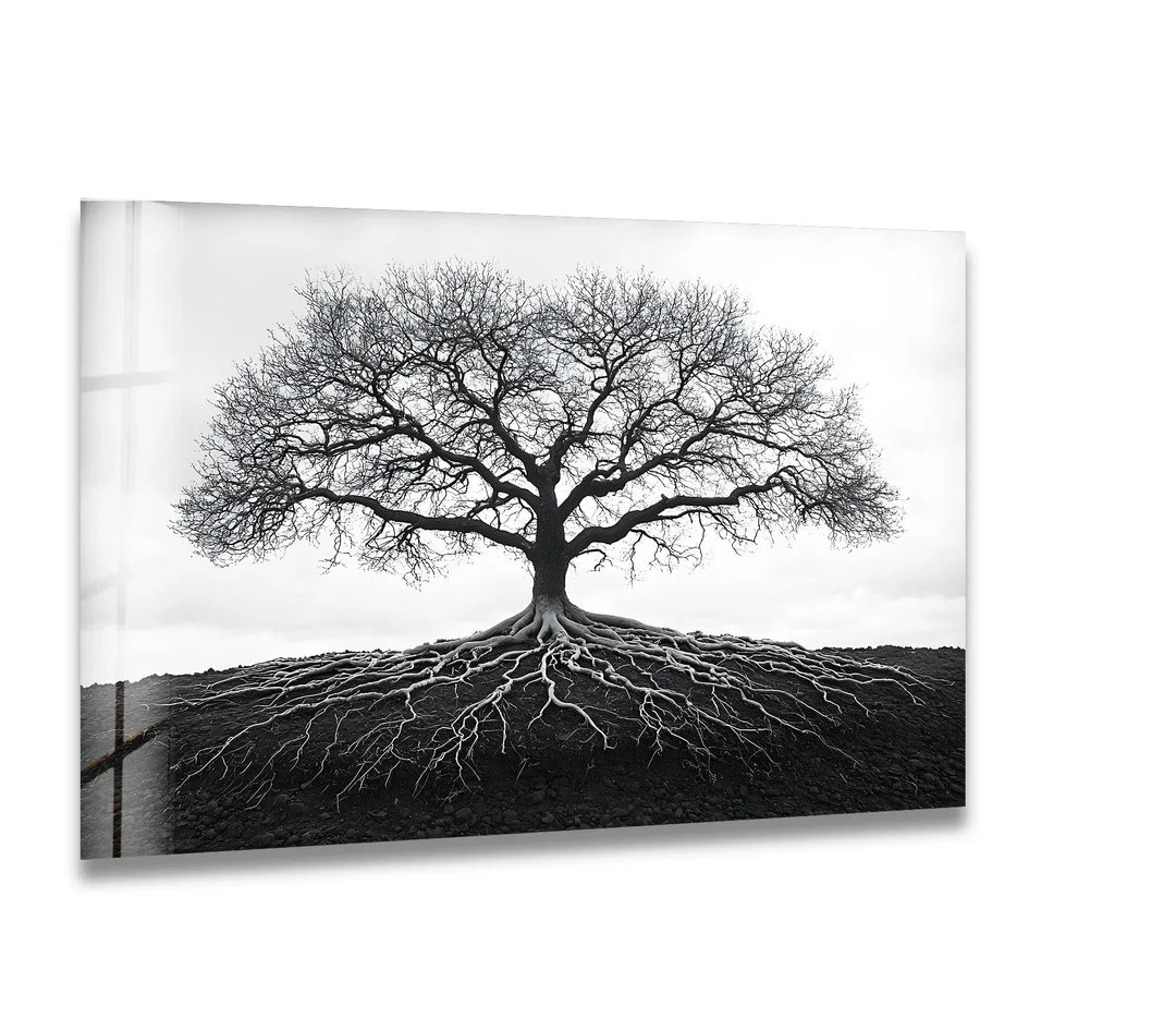 A striking black and white glass wall art featuring the symbolic Tree of Life with deep, intricate roots.