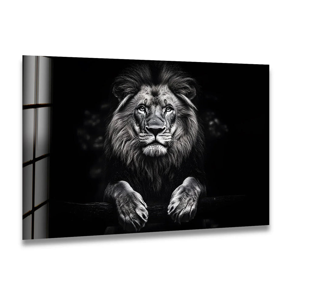 Majestic lion in black-and-white, captured on glass, adding elegance to any space.