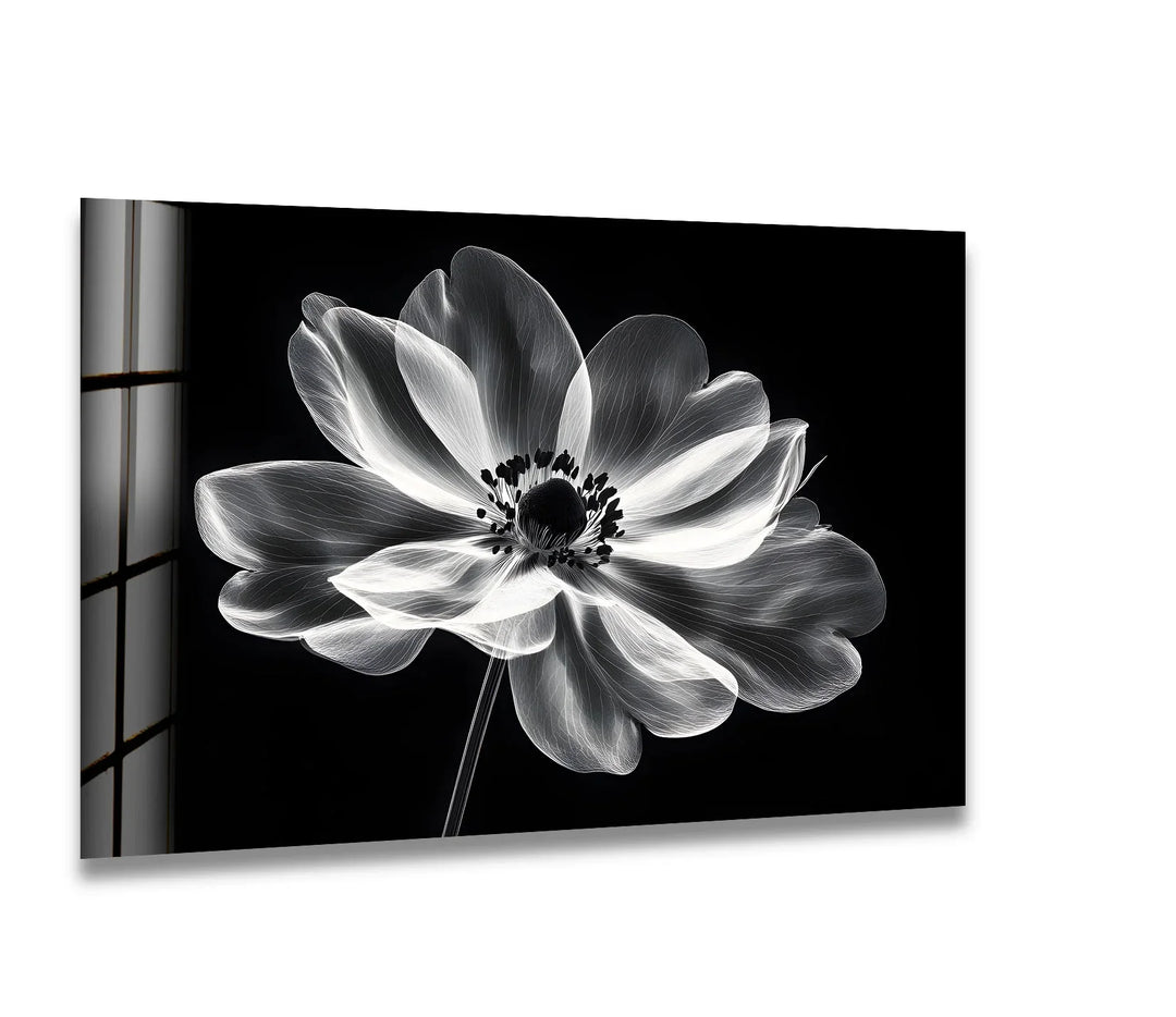 Elegant black-and-white floral design, printed on durable glass for modern home decor.