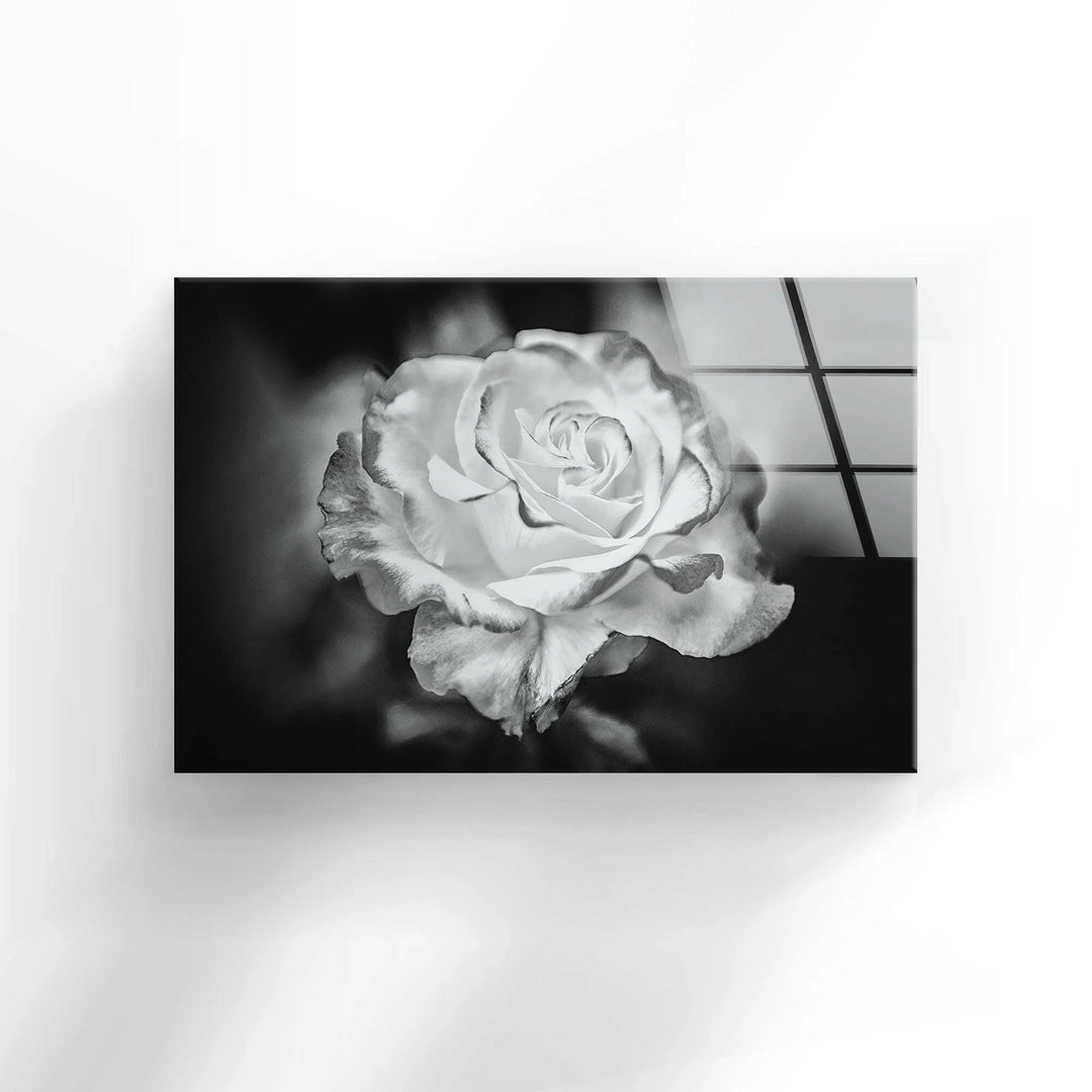 Black - White Rose Glass Wall Art, glass image printing, glass prints from photos