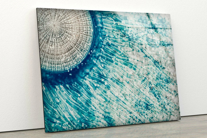 Blue Button Jellyfish Tempered Glass Wall Art Prints for Home